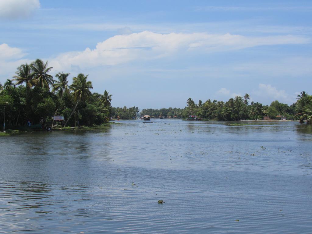 Marari Dreamz Villa Alappuzha Bilik gambar