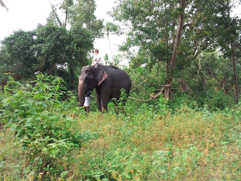 Marari Dreamz Villa Alappuzha Bilik gambar