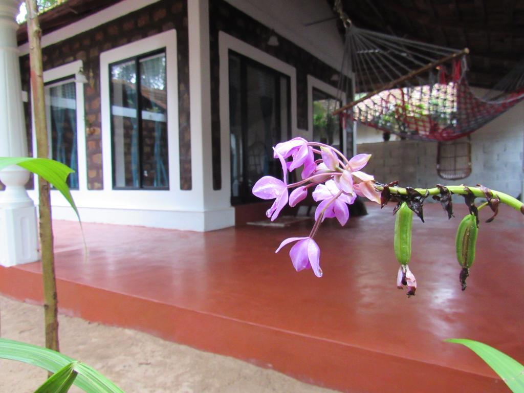 Marari Dreamz Villa Alappuzha Luaran gambar